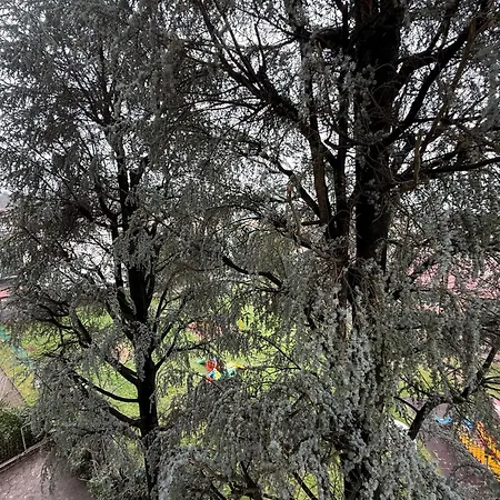 Netflix - Vicino Al Centro - Via Rometta Maison d'hôtes 3*